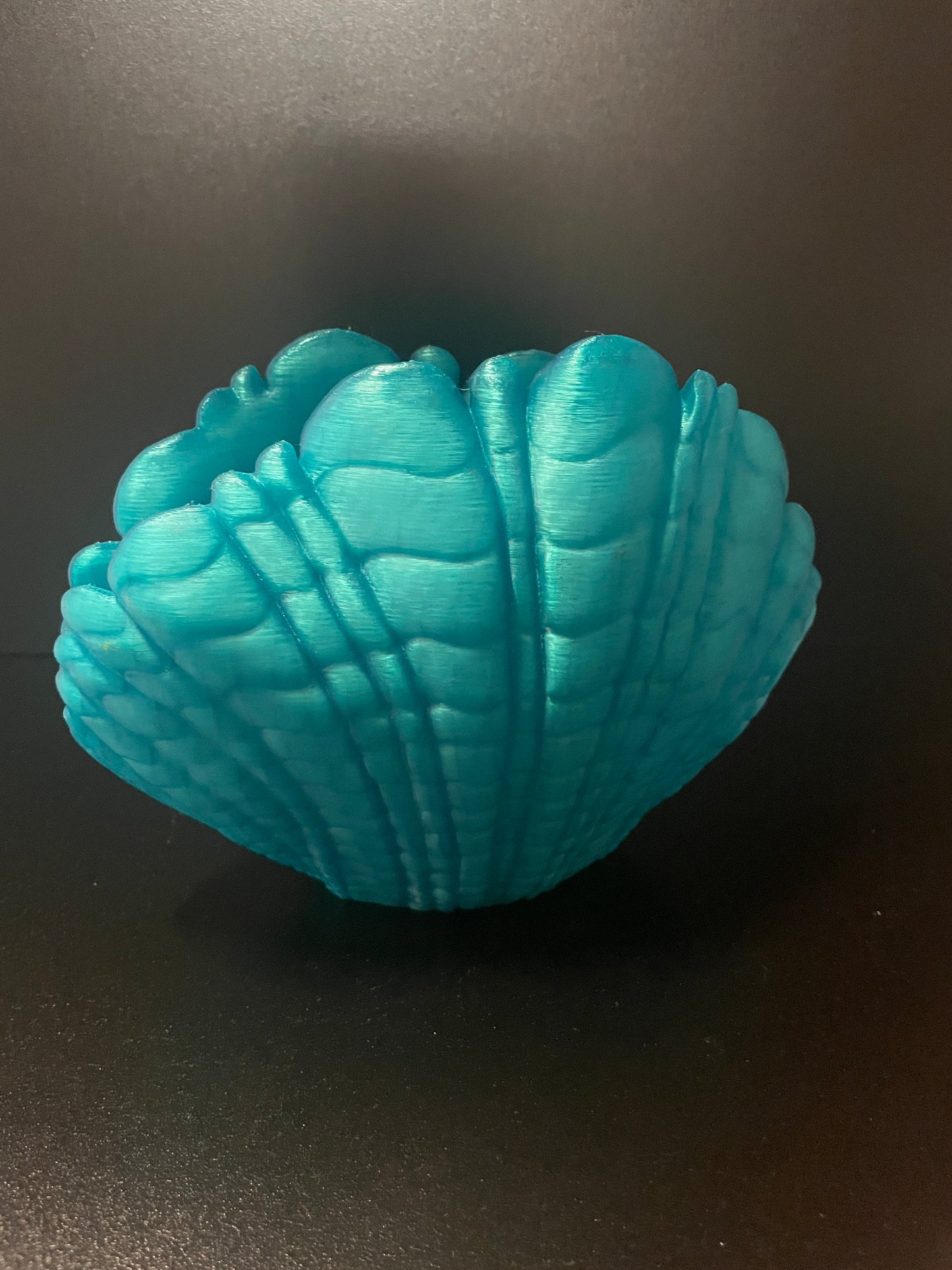 Shell Yeah! 3D Seashell Vases