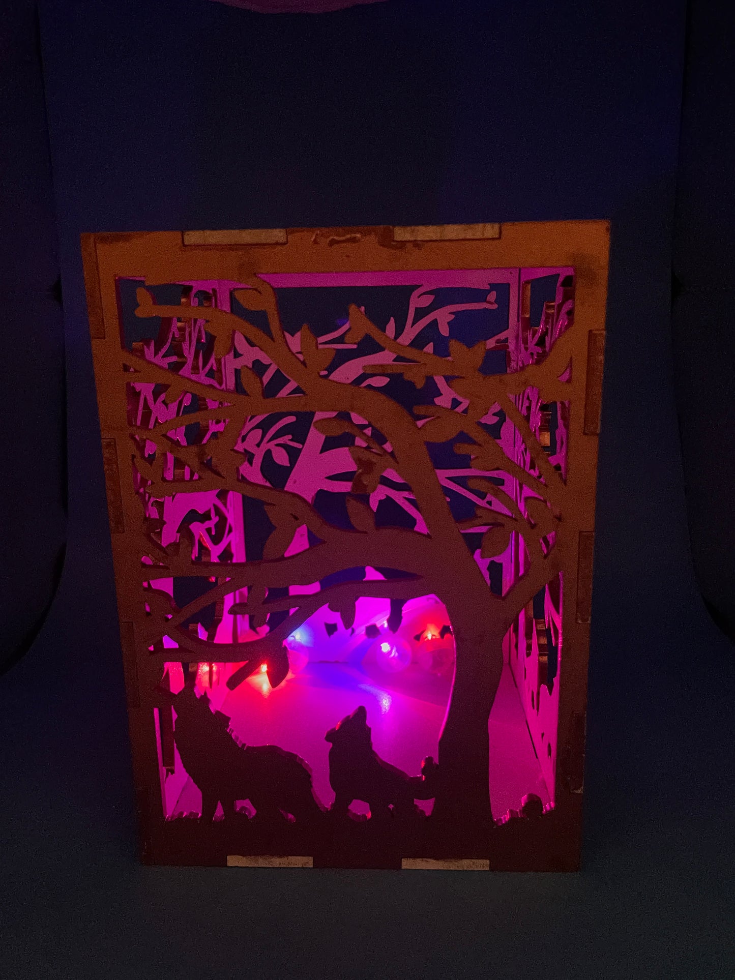 Laser Cut Lanterns